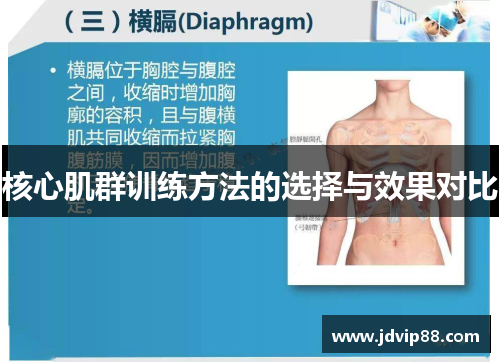 核心肌群训练方法的选择与效果对比